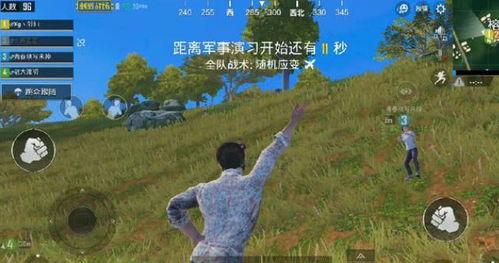 娱乐大瓜在线吃鸡游戏,在线吃鸡游戏，畅享欢乐竞技盛宴